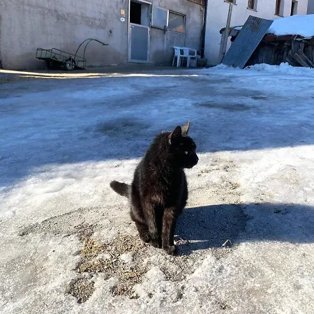 Fasser In Muestair- Zentrale Lage