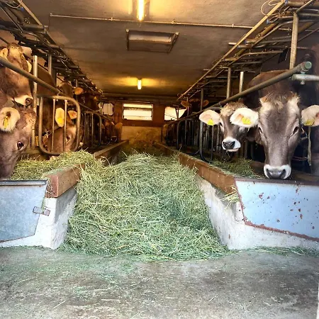 منزل للإقامة Fasser In Muestair- Zentrale Lage Müstair