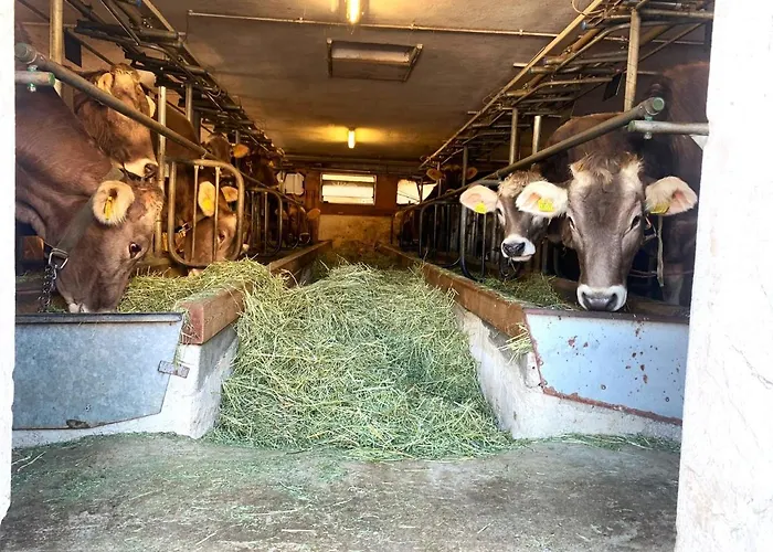 Alloggio in famiglia Fasser In Muestair- Zentrale Lage Müstair